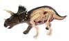 Анатомічна модель Динозавр Трицератопс 4D Master 26093