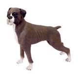 Обємний пазл 3d Собака Боксер 4D Master 26489