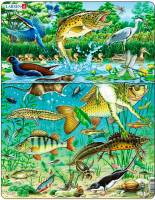 Рамки-вкладиші Озеро серія Максі Larsen FH19