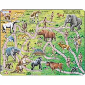 Пазл Larsen рамка-вкладиш для малюків Теорія еволюції (HL3)